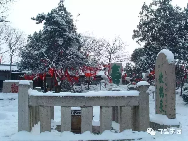 c7xfKYynwx7dw8tt.jpg
