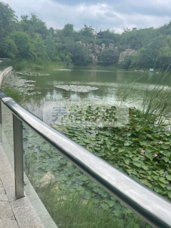QQ20250320-133803.png