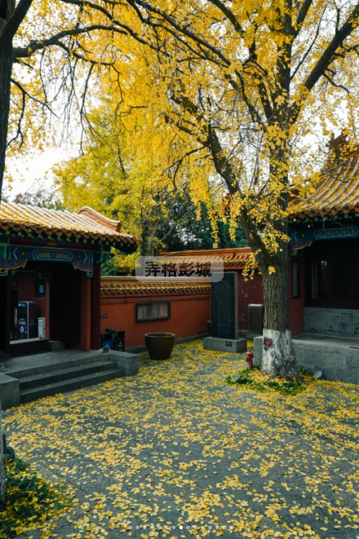 QQ20250415-173637.png