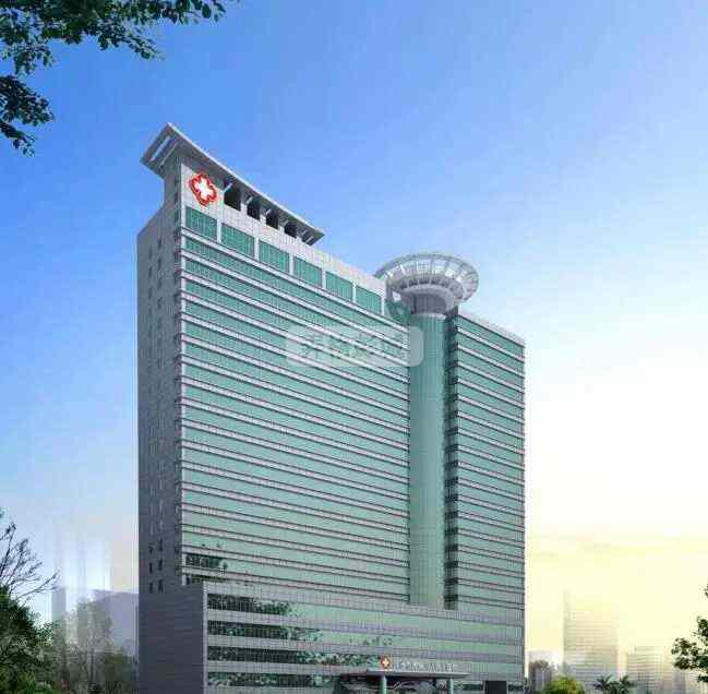 IMG_3469.jpeg IMG_3469.jpeg